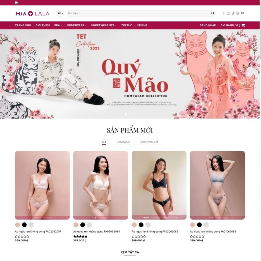 Themes wordpress mẫu website đồ lót, thời trang nữ, bán hàng online 15