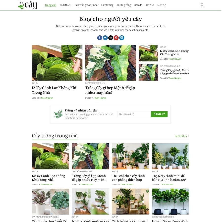 Themes WordPress mẫu website tin tức về cây xanh, blog cây xanh, chăm sóc cây xanh 12