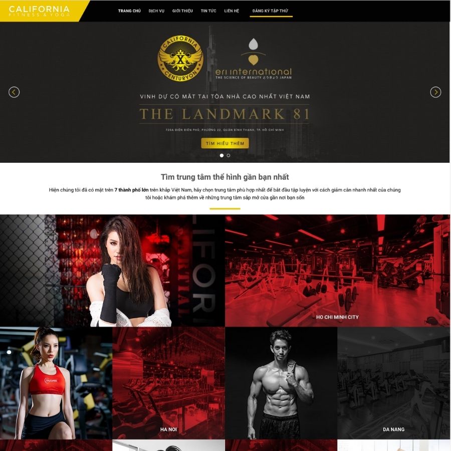 Themes WordPress mẫu website dịch vụ gym, mẫu website phòng gym, khoá học gym