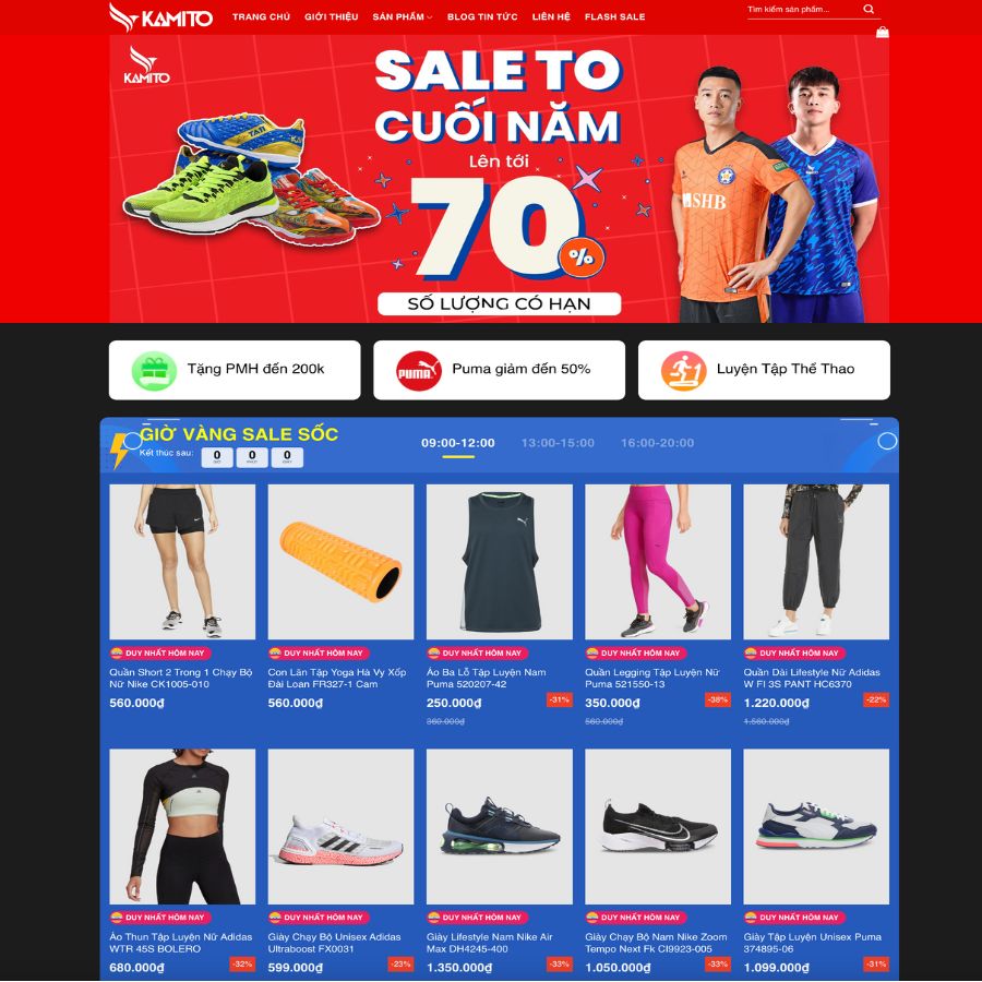 Themes WordPress đẹp mẫu website bán giày dép, đồ thể thao