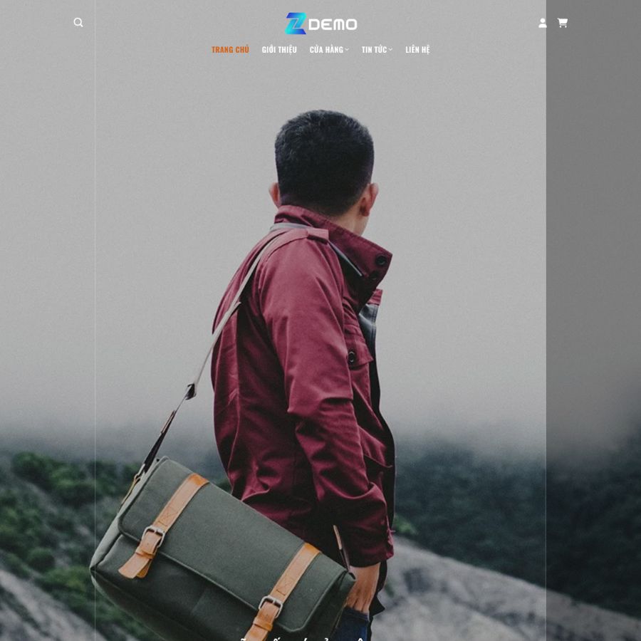 Themes WordPress đẹp mẫu website thời trang túi da