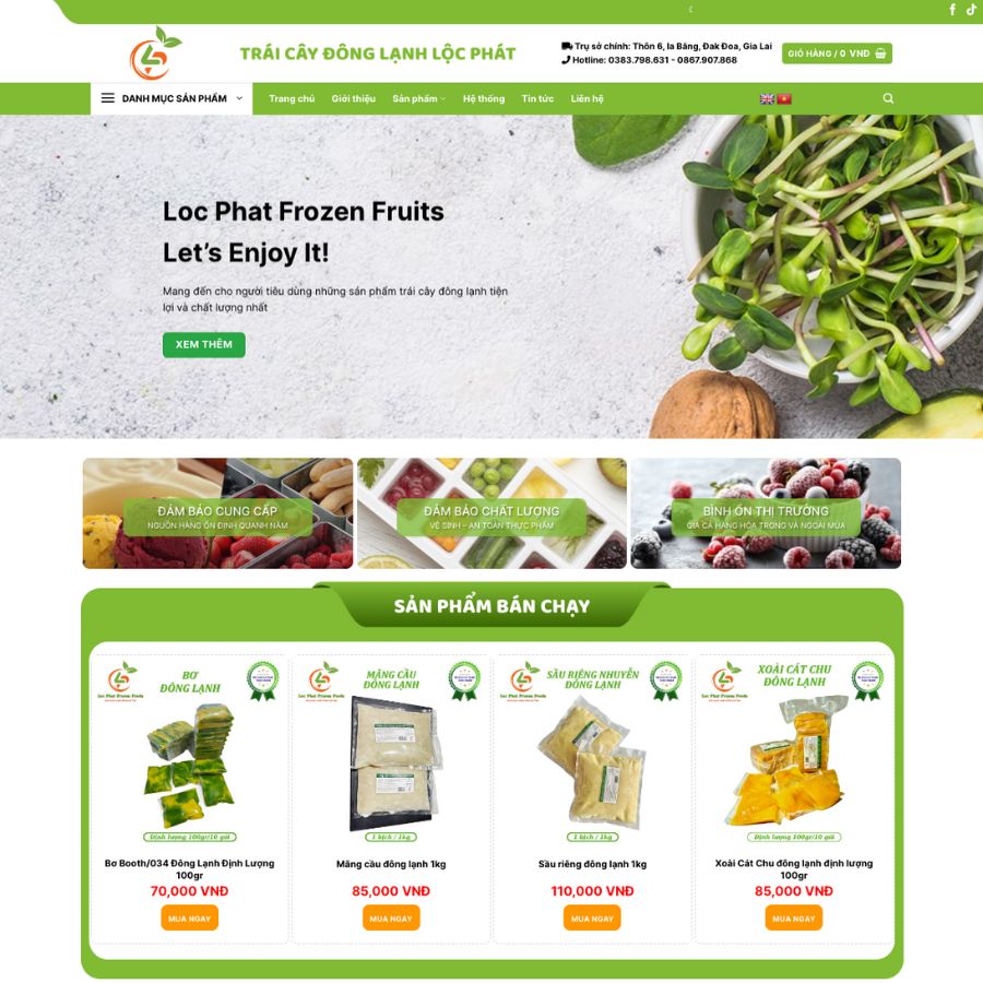 Themes WordPress đẹp mẫu website trá cây đông lạnh